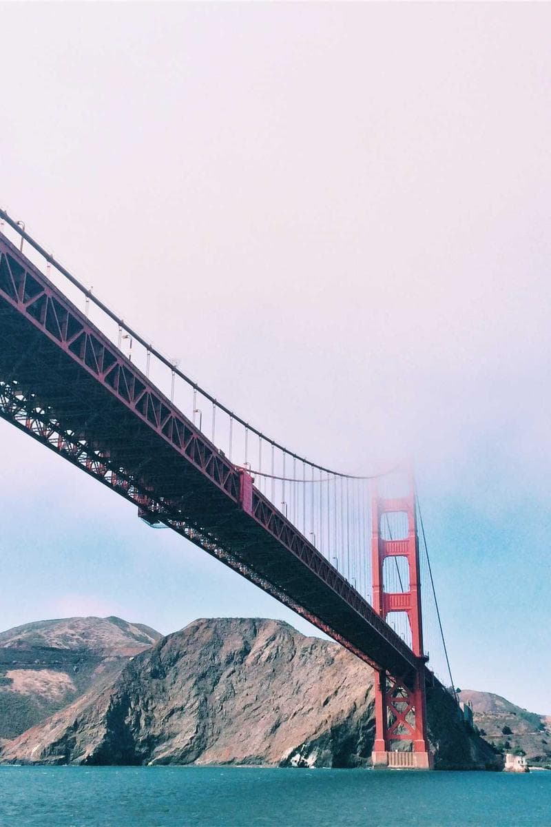Jute field in Bangladesh