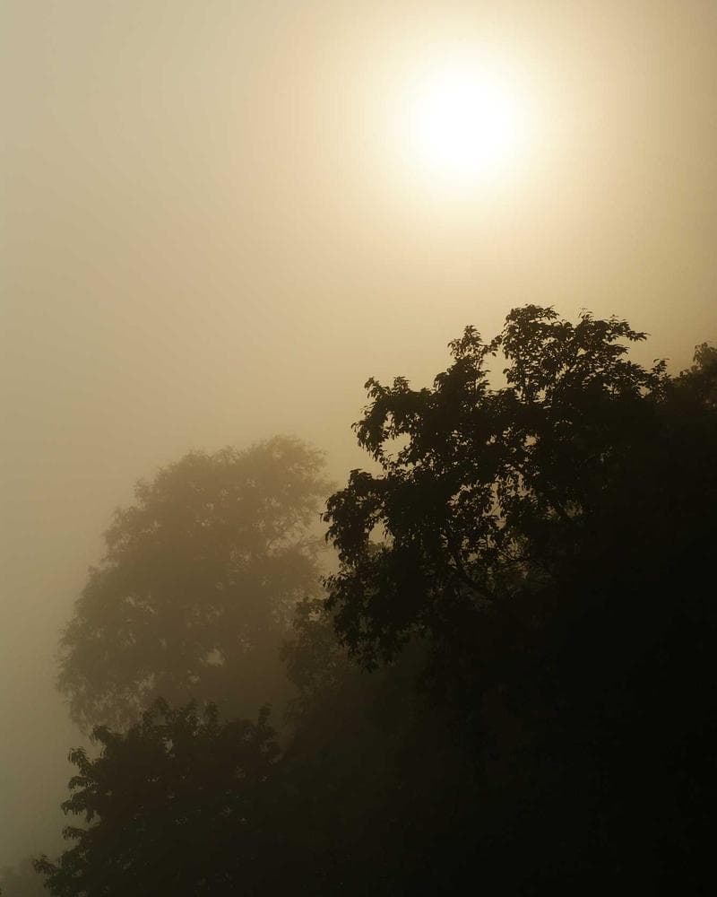 Standard A. Twill Jute Bag